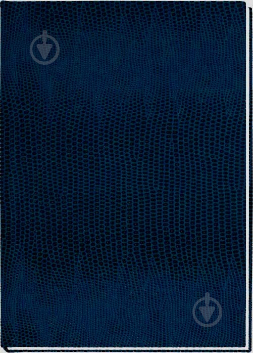 Блокнот А6 E21914-02 Economix - фото 1