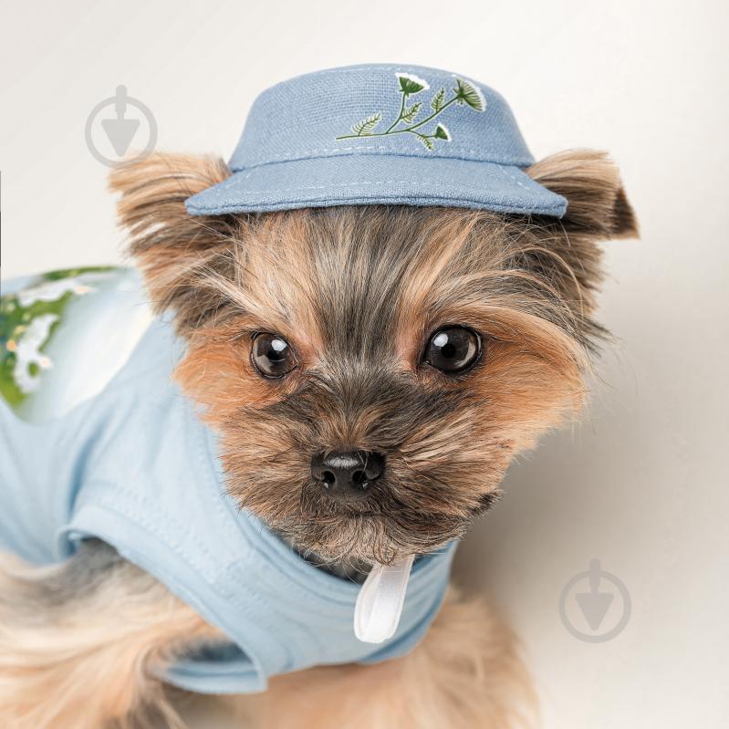 Шапка Pet Fashion Blue M - фото 4