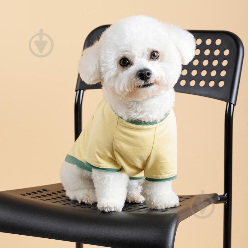 Футболка Pet Fashion Endy S - фото 4