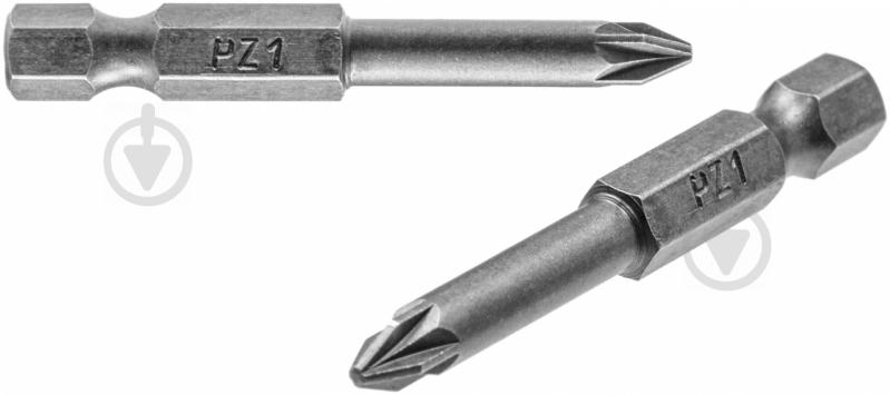 Біта Expert Fix PZ1x50 мм 2 шт. 40114108 - фото 1