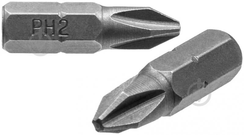 Біта Expert Fix PZ2x25 мм 2 шт. 40114109 - фото 1