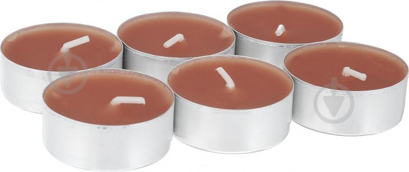 Набор свечей ароматических Bolsius Корица 6 шт. - фото 2