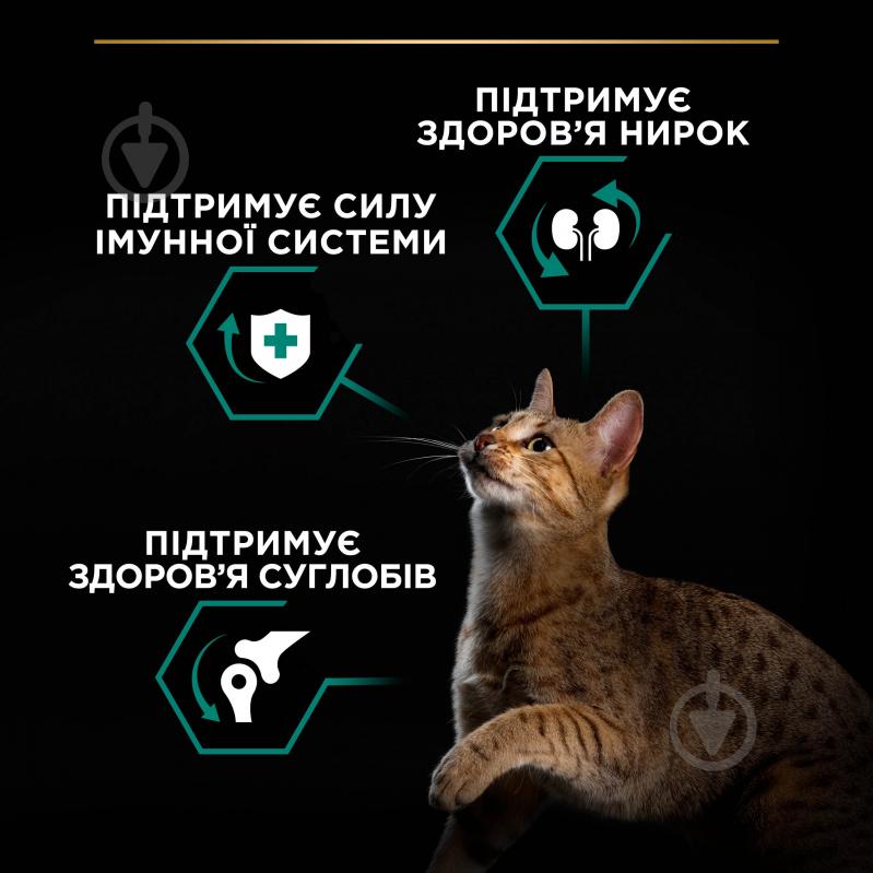 Корм сухий для дорослих котів ProPlan by Purina Adult 1+ Renal Plus з куркою 14 кг - фото 6