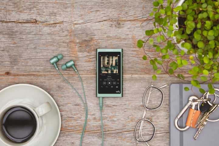 МР3-плеєр Sony Walkman NW-A55L 16GB Green (NWA55LG.CEW) - фото 4