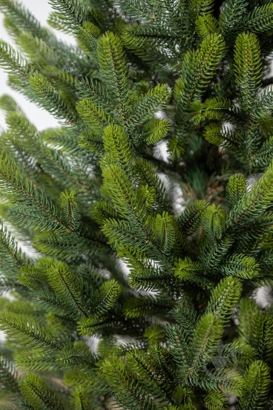 Штучна ялинка Полярна 1,1 м Весняна в горщику зеленийSiga Group - фото 5 Штучна ялинка Полярна 1,1 м Весняна в горщику зеленийSiga Group - фото 5