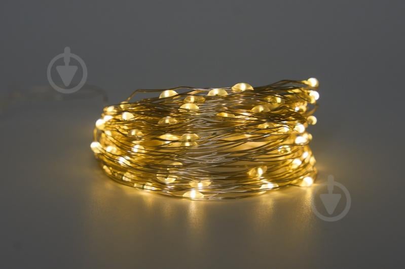 Электрогирлянда Девилон с повербанком светодиодная (LED) 100 ламп 10 м (720568) - фото 1 Электрогирлянда Девилон с повербанком светодиодная (LED) 100 ламп 10 м (720568) - фото 1