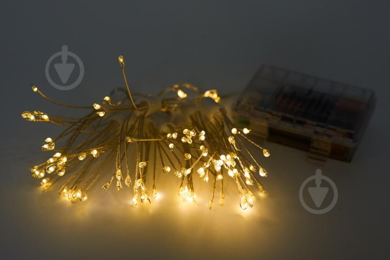 Електрогірлянда Девілон Вогняна куля на батарейках з пультом світлодіодна (LED) 100 ламп 1,35 м (720773) - фото 1 Електрогірлянда Девілон Вогняна куля на батарейках з пультом світлодіодна (LED) 100 ламп 1,35 м (720773) - фото 1