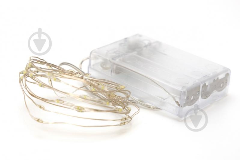 Электрогирлянда светодиодная Девилон светодиодная (LED) 40 ламп (720537) - фото 2