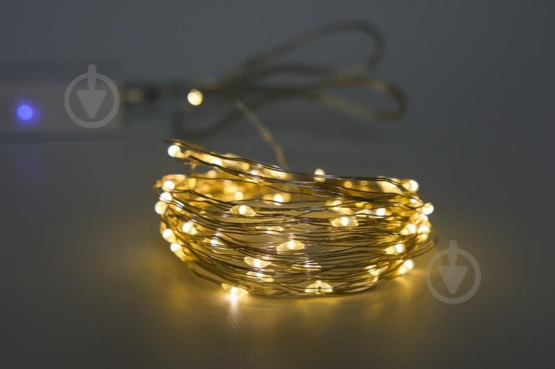 Электрогирлянда светодиодная Девилон светодиодная (LED) 50 ламп (720551) - фото 1 Электрогирлянда светодиодная Девилон светодиодная (LED) 50 ламп (720551) - фото 1