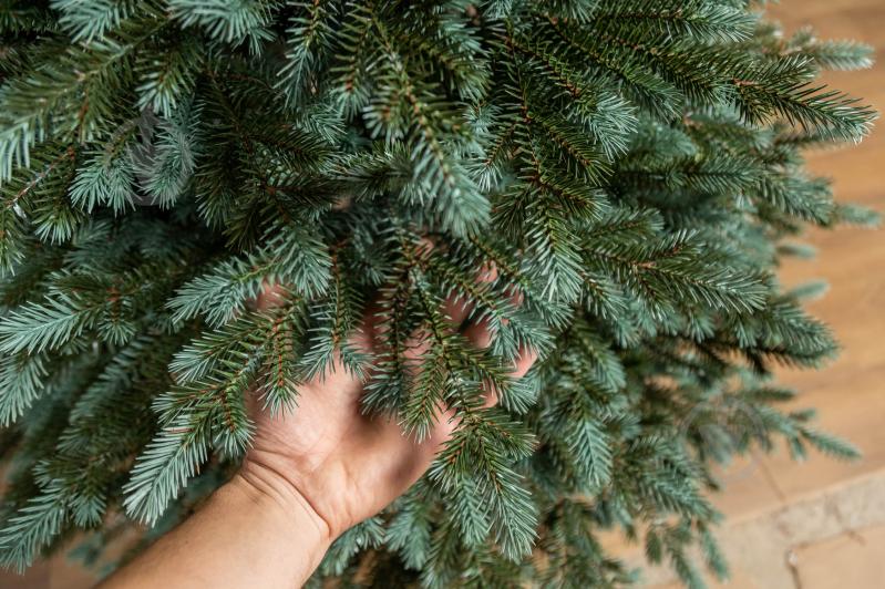 Искусственная елка литая Аляска 2,50 м зелено-голубой Siga Group - фото 9 Искусственная елка литая Аляска 2,50 м зелено-голубой Siga Group - фото 9