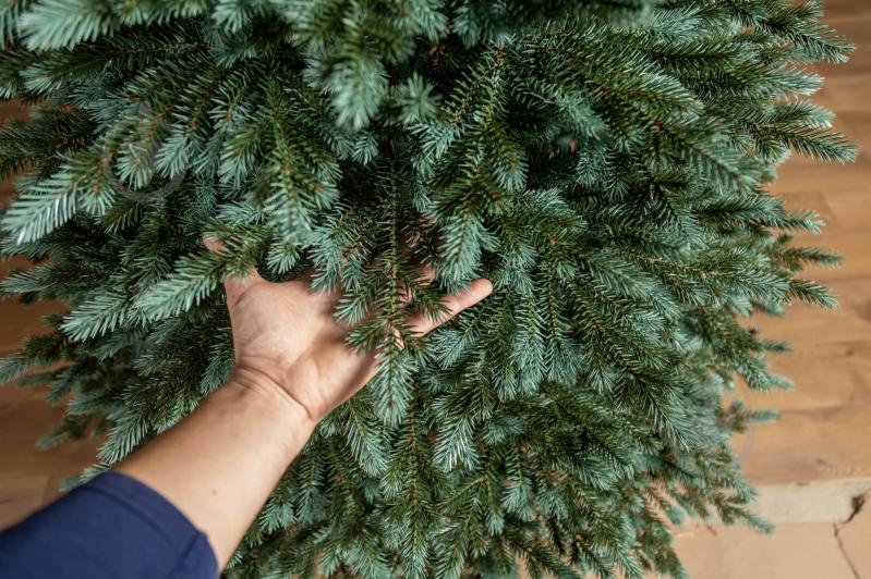 Искусственная елка литая Аляска 2,50 м зелено-голубой Siga Group - фото 8 Искусственная елка литая Аляска 2,50 м зелено-голубой Siga Group - фото 8