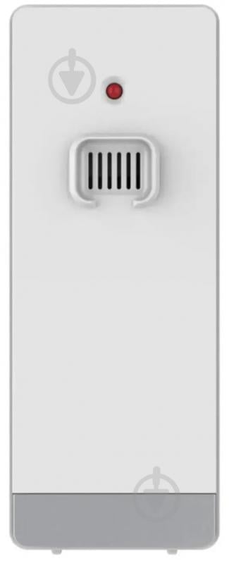 Метеостанция Technoline DirektWetter WD2000 Silver - фото 3