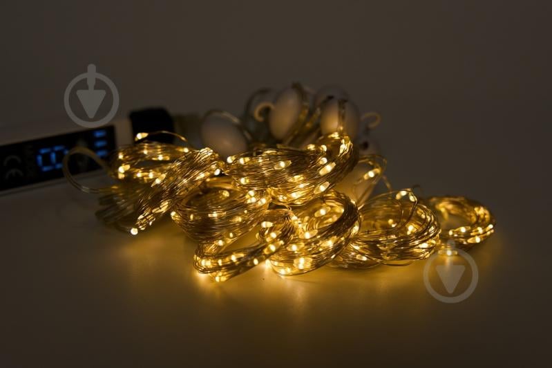 Электрогирлянда светодиодная Девилон Занавес светодиодная (LED) 300 ламп (720971) - фото 1 Электрогирлянда светодиодная Девилон Занавес светодиодная (LED) 300 ламп (720971) - фото 1