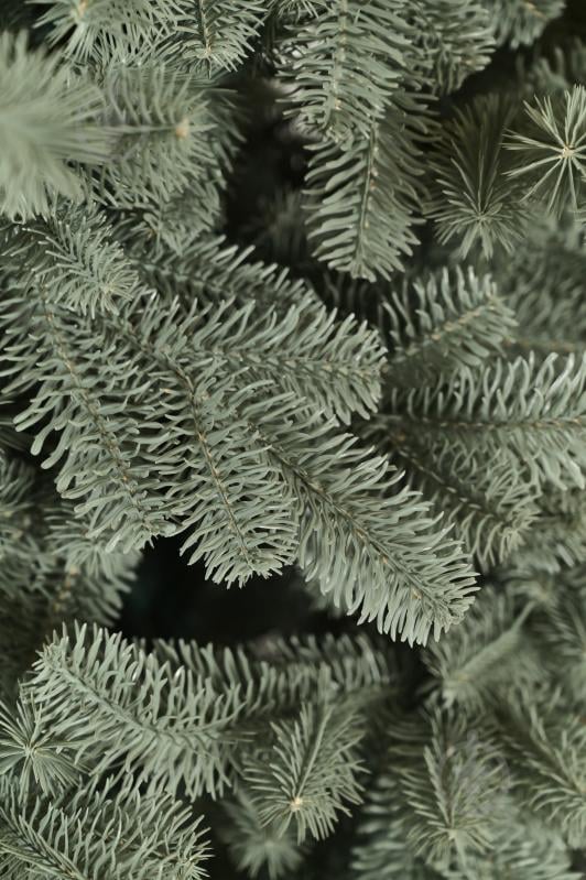 Штучна ялинка Ялинка Львівська РЕ 100% 2,1м 4631 блакитний - фото 4 Штучна ялинка Ялинка Львівська РЕ 100% 2,1м 4631 блакитний - фото 4