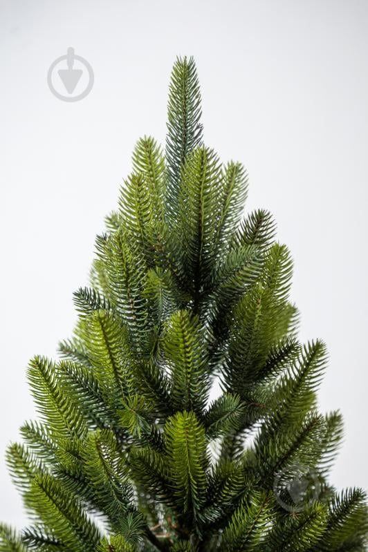 Штучна ялинка Лапландська 0,9 м Весняна в горщику зеленийSiga Group - фото 4