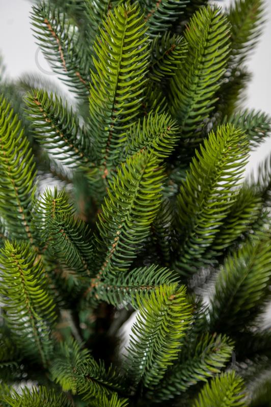 Штучна ялинка Лапландська 0,9 м Весняна в горщику зеленийSiga Group - фото 6