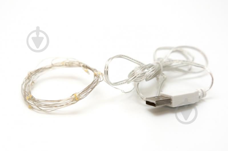 Електрогірлянда світлодіодна Девілон світлодіодна (LED) 20 ламп (721312) - фото 2 Електрогірлянда світлодіодна Девілон світлодіодна (LED) 20 ламп (721312) - фото 2