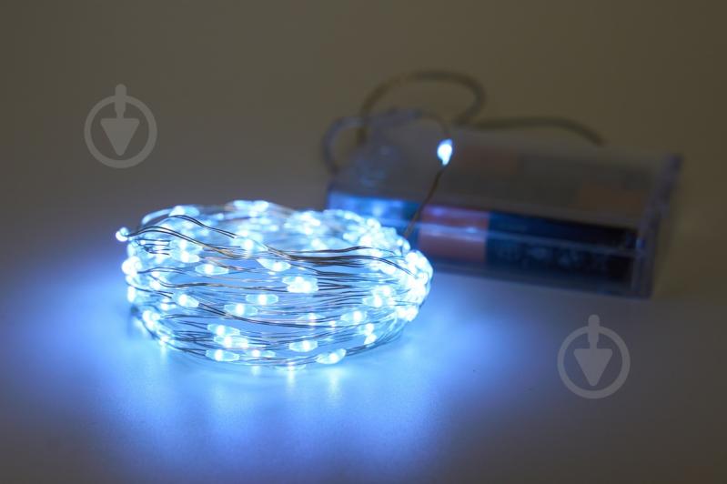 Электрогирлянда светодиодная Девилон светодиодная (LED) 100 ламп (720520) - фото 1