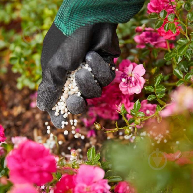 Удобрение Compo твердое длительного действия для роз 2кг (3589) - фото 12