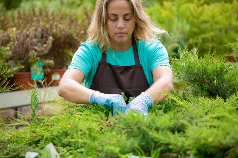 Удобрение Compo твердое длительного действия для хвои 2кг (3856) - фото 10