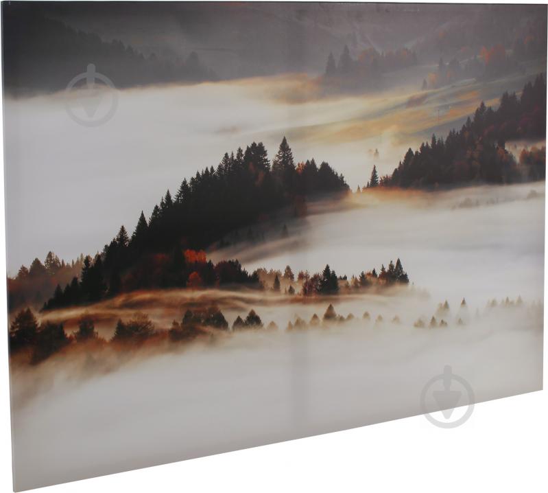 Картина Mist 113x85 см Styler - фото 2