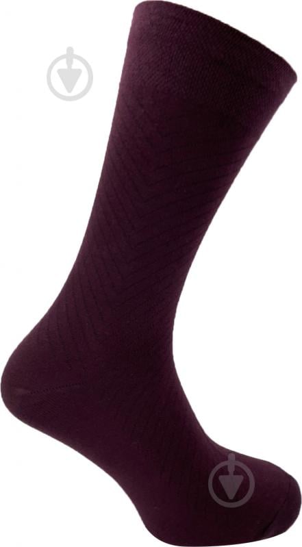 Шкарпетки чоловічі Cool Socks 16861 р.29-31 бордовий - фото 1