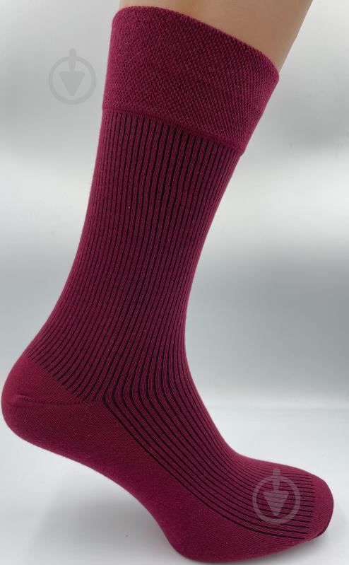 Шкарпетки чоловічі Cool Socks 16862 р.25-27 вишневий - фото 2