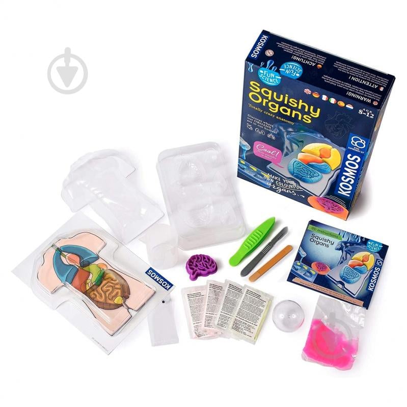 Набор исследователя Kosmos Желейные органы (Squichy Organs) 616816 - фото 2