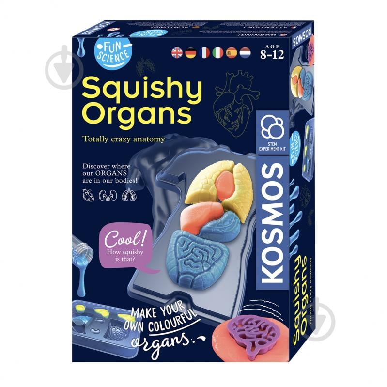Набор исследователя Kosmos Желейные органы (Squichy Organs) 616816 - фото 1