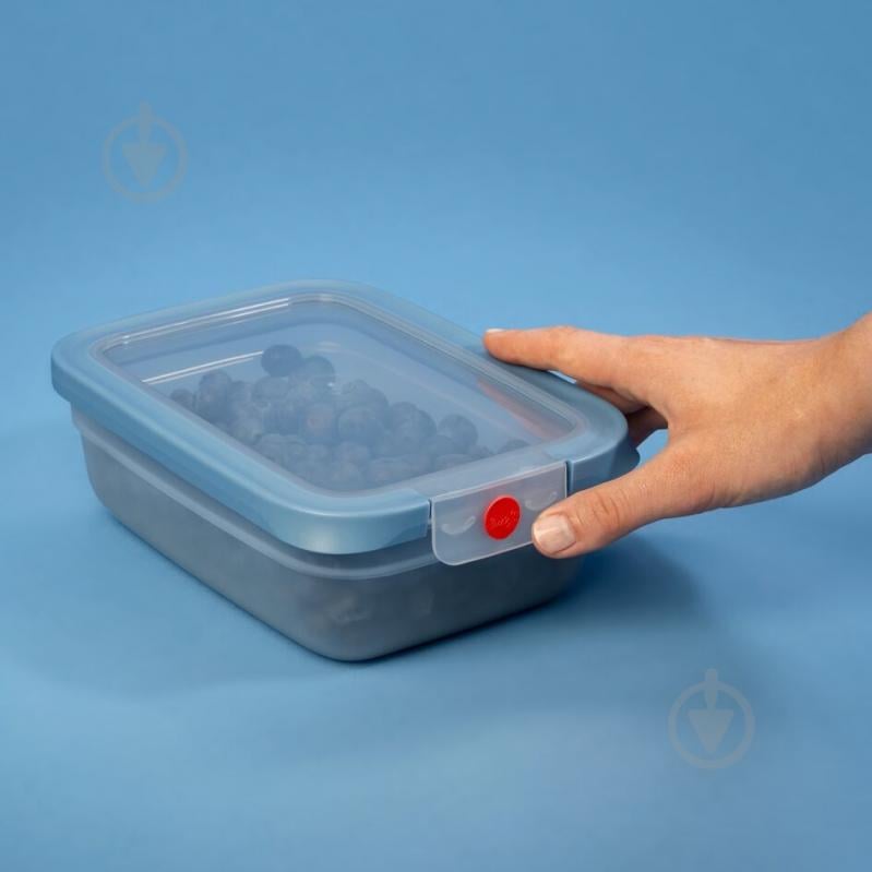 Набір контейнерів Tefal oneClick 3 шт. по 0,5 л N1230510 - фото 11 Набір контейнерів Tefal oneClick 3 шт. по 0,5 л N1230510 - фото 11