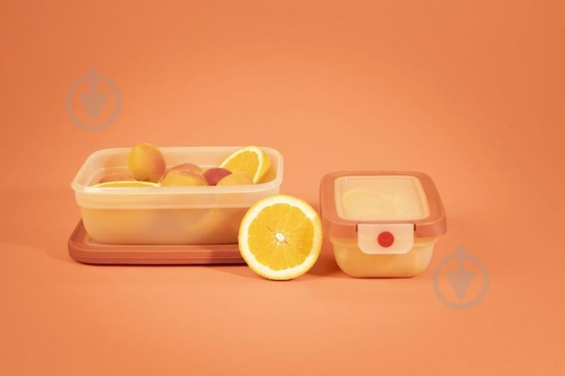 Контейнер із кришкою Tefal oneClick 1.2 л N1210810 - фото 12 Контейнер із кришкою Tefal oneClick 1.2 л N1210810 - фото 12