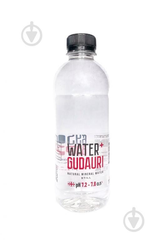 Вода Water+Gudauri негазована 0,5 л - фото 1