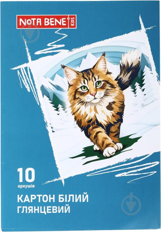 Набор белого картона глянцевого А4 10 листов Nota Bene - фото 1