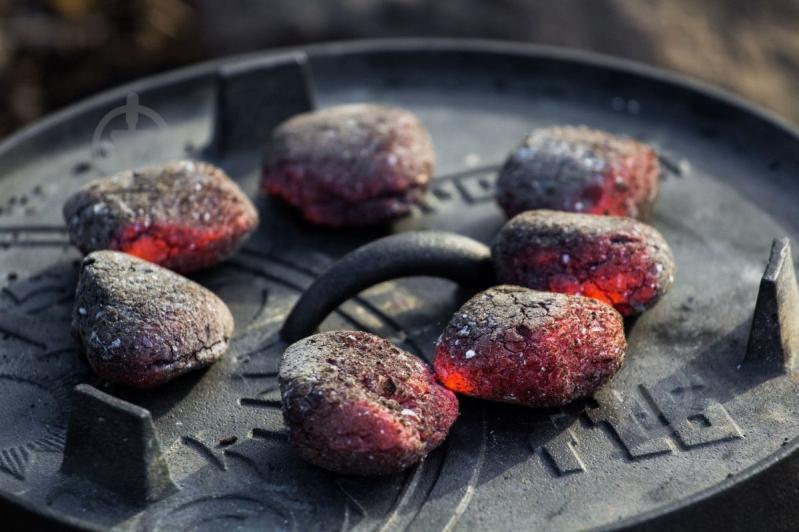 Брикеты угольные Petromax Cabix Plus для жаровни и барбекю 3 кг - фото 7