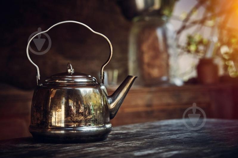 Чайник Petromax 1,5 л Teakettle - фото 4