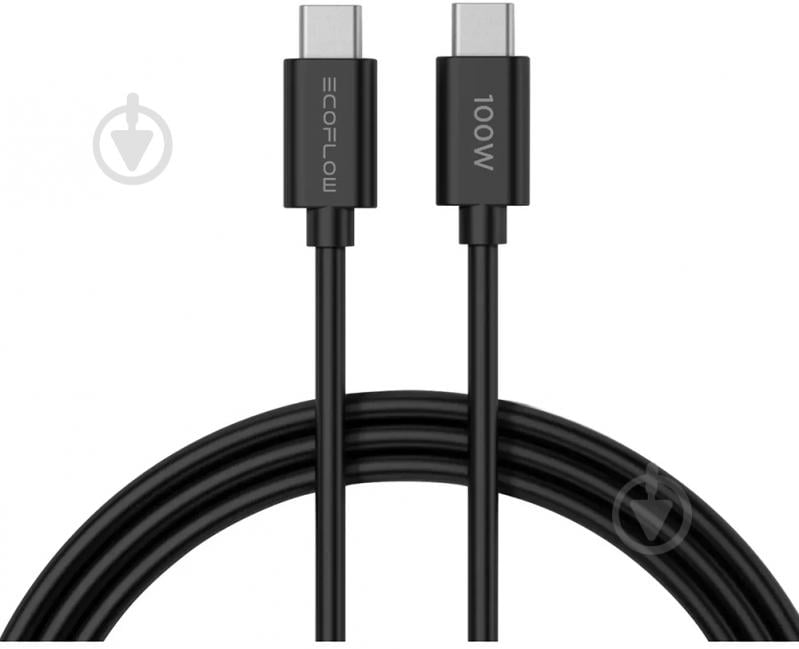 Зарядное устройство EcoFlow RAPID GaN Charger 65W (EFA-65W-GAN-CHARGER-EU) - фото 3