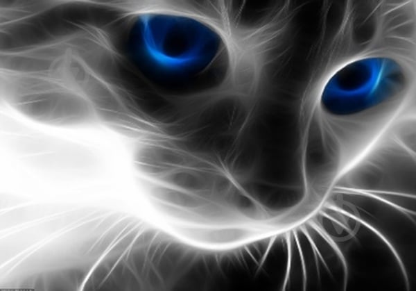 Набор со стразами на подрамнике Незабываемый взгляд 40x50 см GoToArt - фото 1