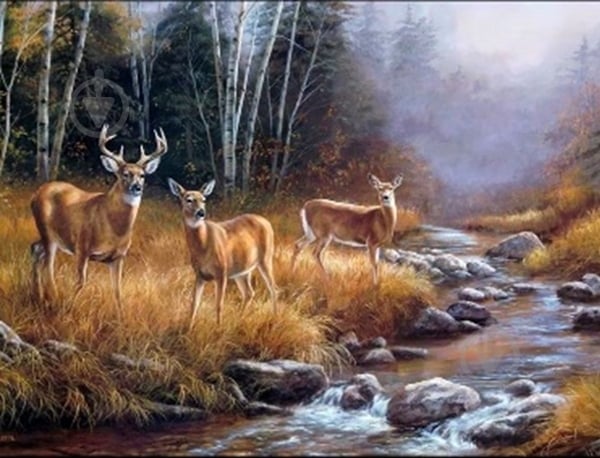 Набор со стразами на подрамнике Олени 40x50 см GoToArt - фото 1 Набор со стразами на подрамнике Олени 40x50 см GoToArt - фото 1