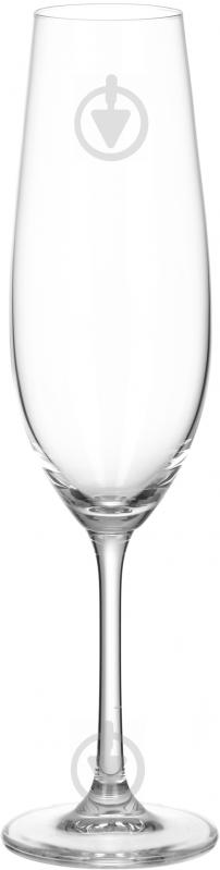Набір бокалів для шампанського Sarah 260 мл 6 шт. Bohemia - фото 1