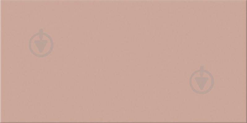 Плитка Ceramica Ribesalbes Croma Antelope 10х20 см - фото 1