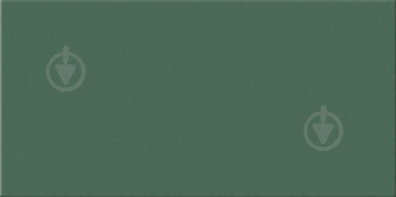 Плитка Ceramica Ribesalbes Croma Kelp 10х20 см - фото 1