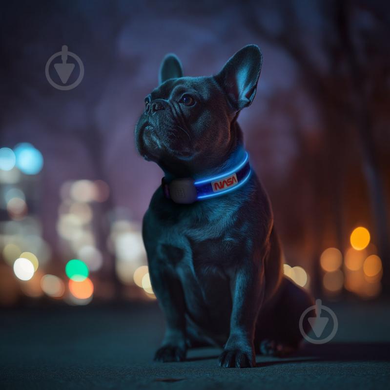 Ошейник регулируемый Waudog LED NASA21 Type-C S-M - фото 4 Ошейник регулируемый Waudog LED NASA21 Type-C S-M - фото 4