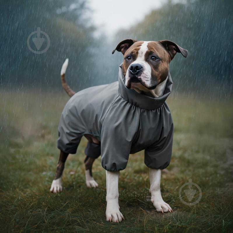 Дождевик водонепроницаемый Waudog S32 В 47-50 см С 35-38 см серый - фото 4 Дождевик водонепроницаемый Waudog S32 В 47-50 см С 35-38 см серый - фото 4