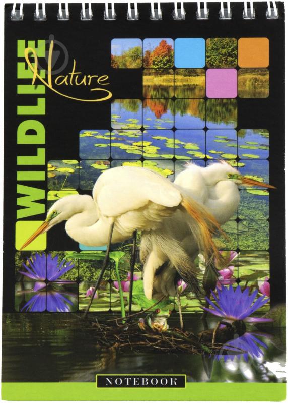 Блокнот А6 на спіралі зверху 60 арк ВА6460 Графіка - фото 1