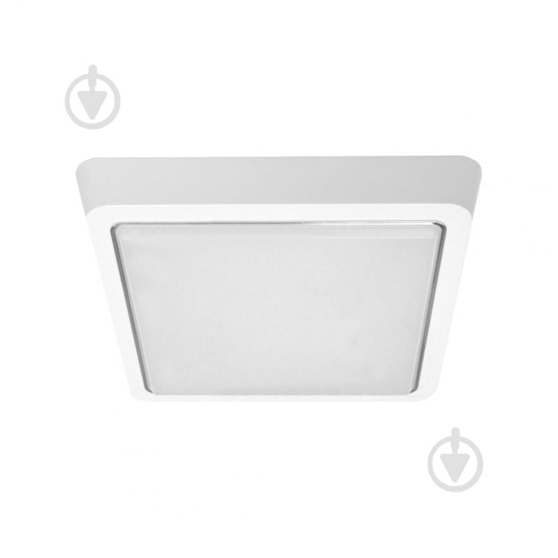 Светильник светодиодный Luminaria S225 20 Вт белый 5500 К DLS 20W - фото 2