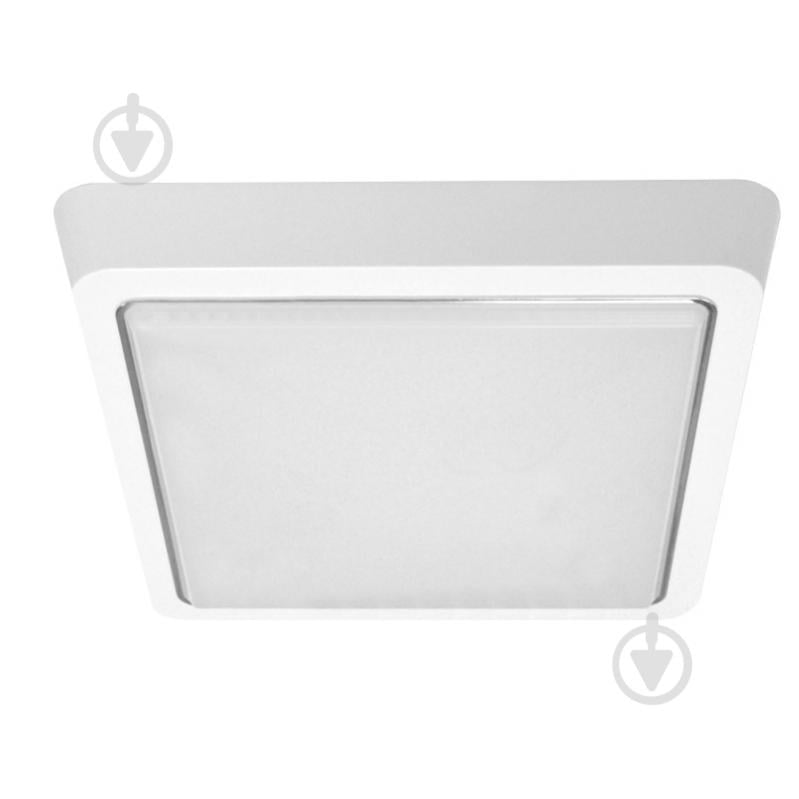 Светильник светодиодный Luminaria S225 20 Вт белый 5500 К DLS 20W - фото 1