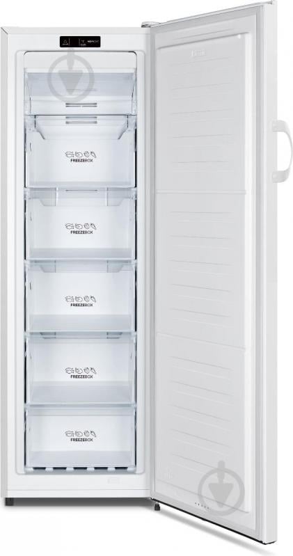 Морозильная камера Gorenje FN4172CW - фото 2