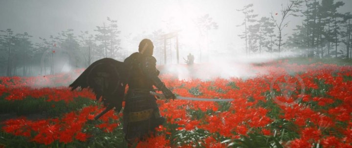 Игра Ghost of Tsushima Director's Cut для (PS5) - фото 3 Игра Ghost of Tsushima Director's Cut для (PS5) - фото 3