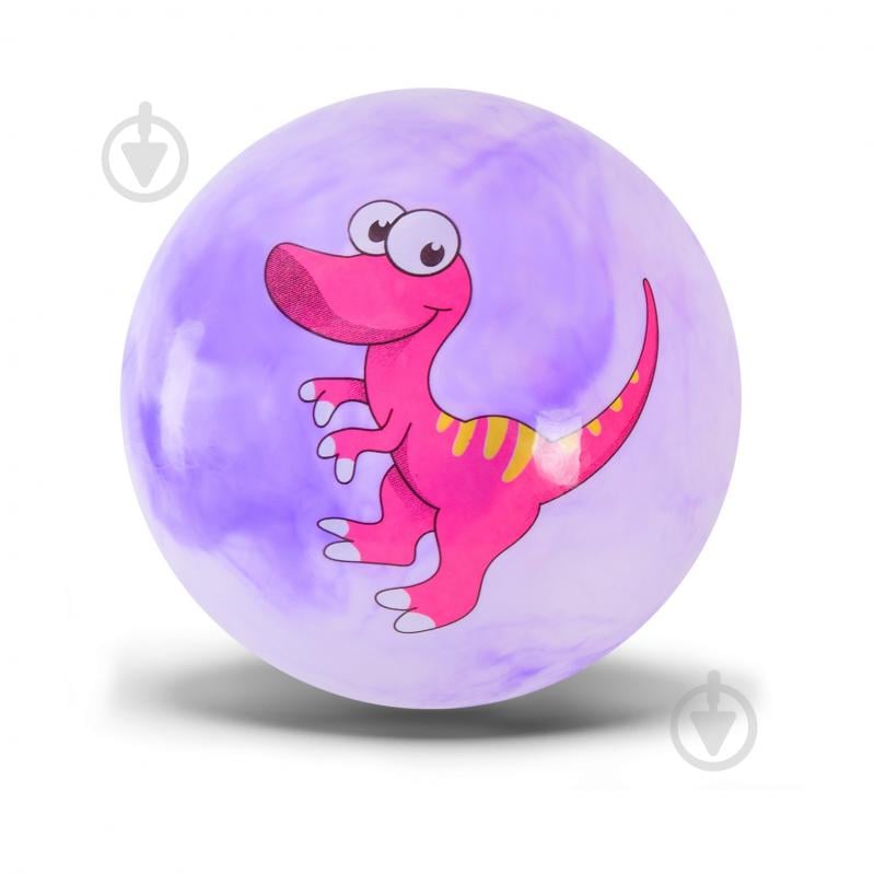 М'яч Shantou в асортименті RB24156 - фото 3