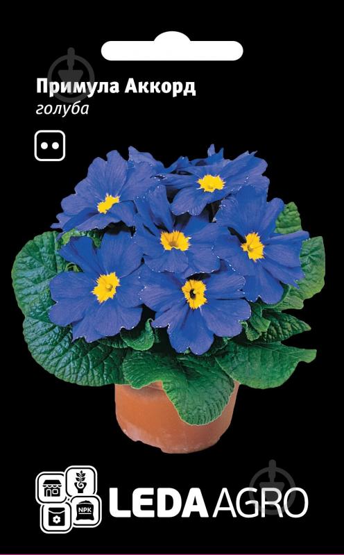 Семена LedaAgro примула Аккорд 10 шт. (4820119790786) - фото 1